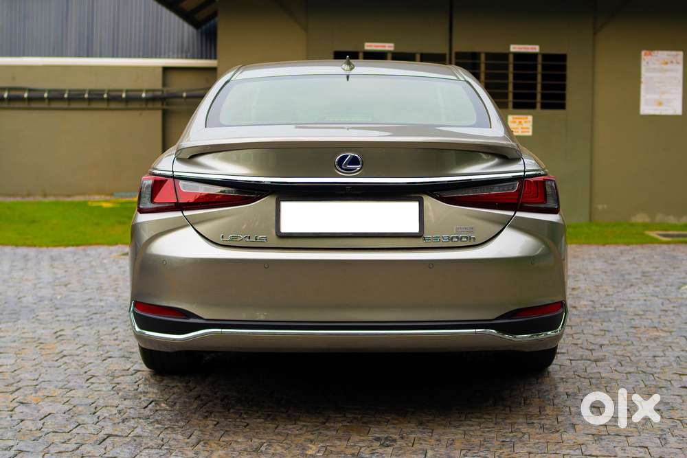 Lexus Nx Lexus-nx-300h-luxury, 2020, Cng & Hybrids