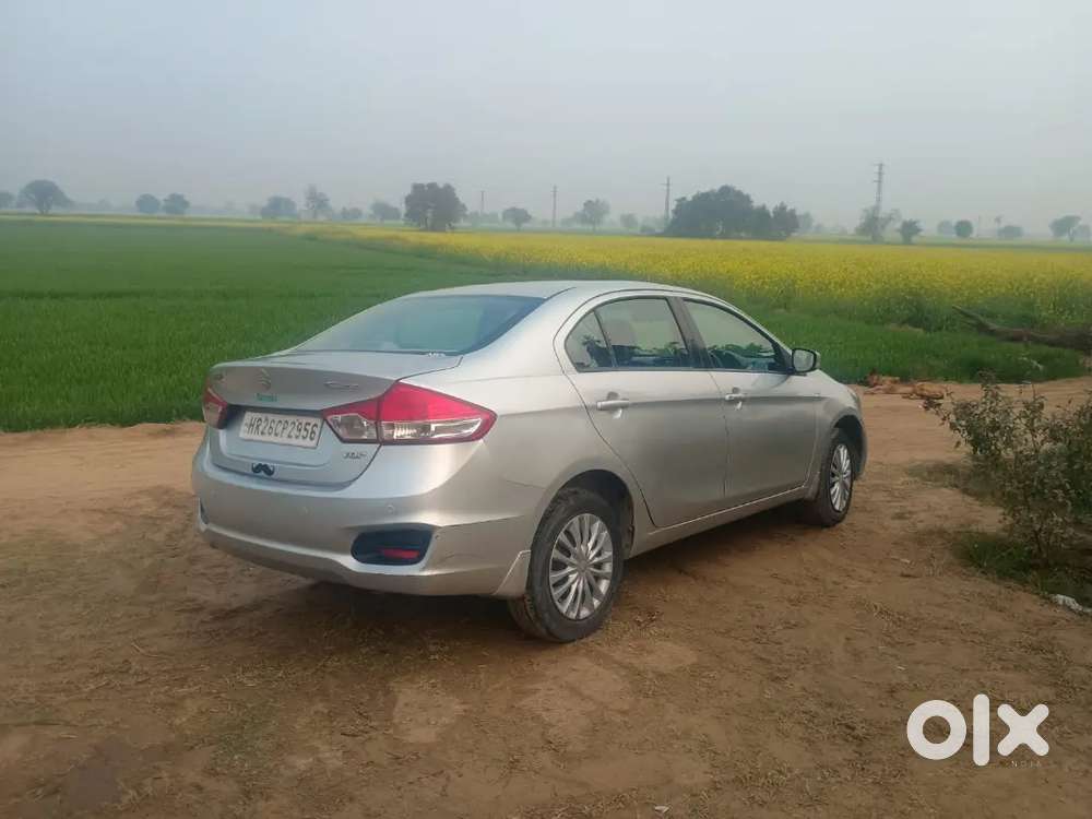 Maruti Suzuki Ciaz 2015 Zdi Plus
