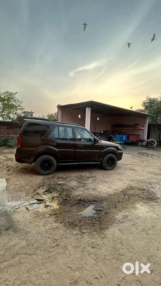 Tata Safari Storme 2013 Diesel Well Maintained