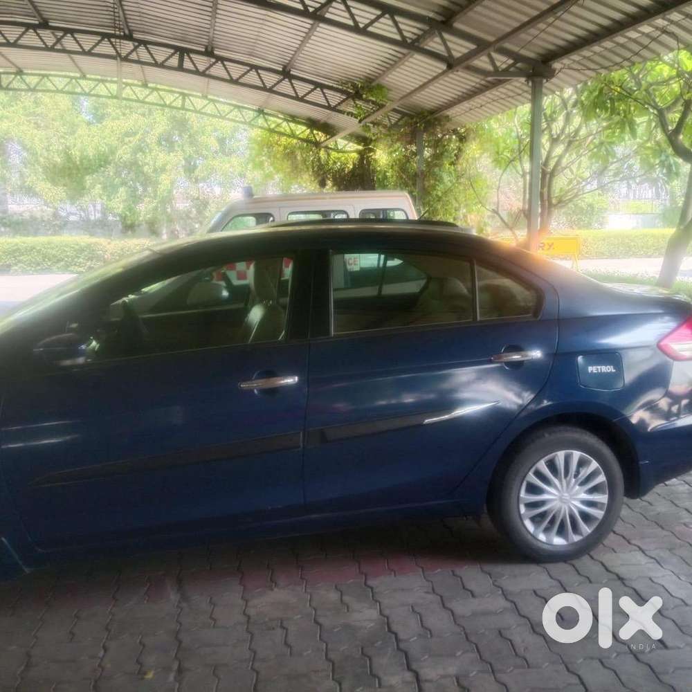 Maruti Suzuki Petrol 2019