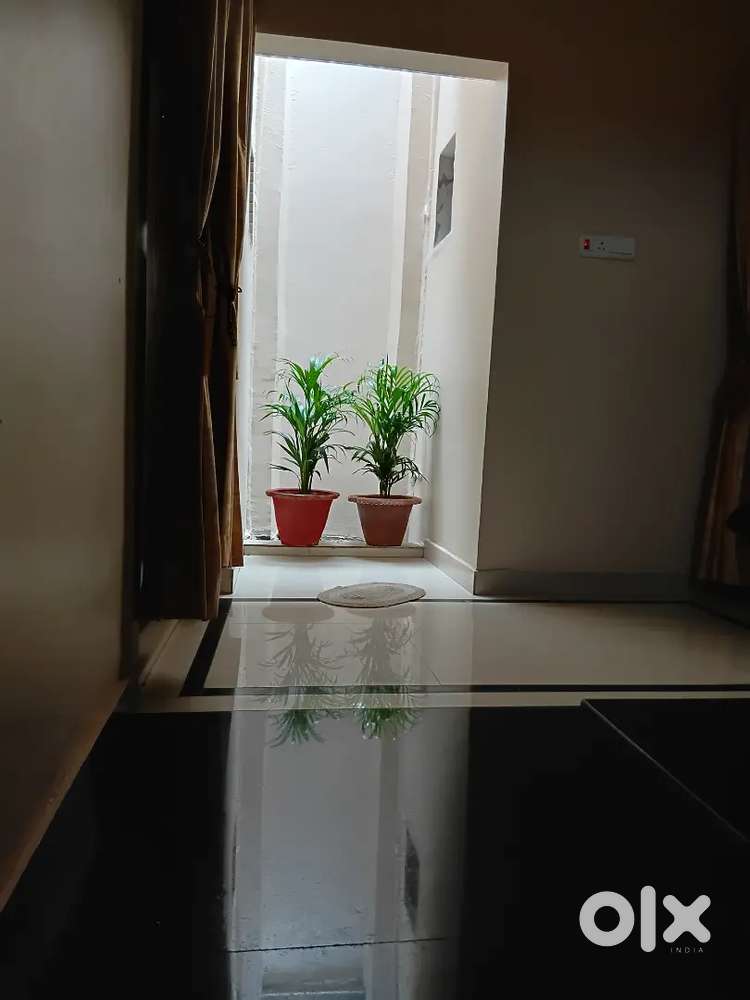 [Rps more  , NehruPath Baileyroad Lane no-2 Vasant Vihar colony