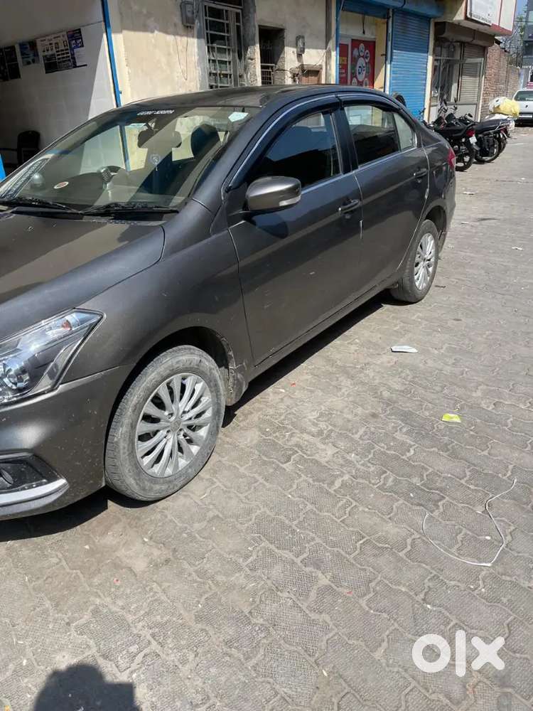 Maruti Suzuki Ciaz 2019 Cng & Hybrids Well Maintained