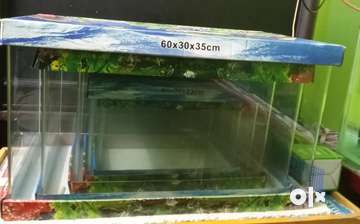 Clearance sale fish tanks( imported tanks) - Pet Food & Accessories -  1669965193