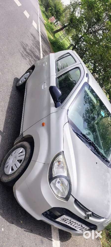 Alto 800 Green Cng