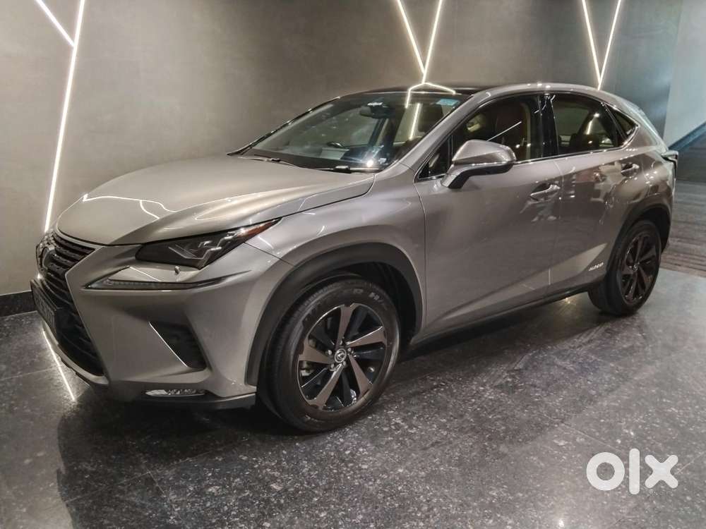 Lexus Nx Lexus-nx-300h-luxury, 2020, Petrol