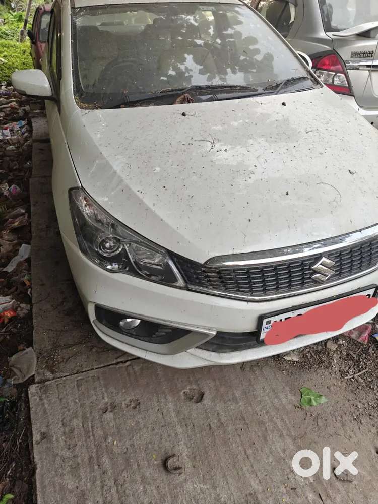 Maruti Suzuki Ciaz 2024 Petrol 14000 Km Driven