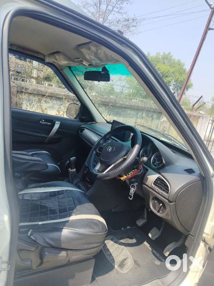 Safari Storme Top Model