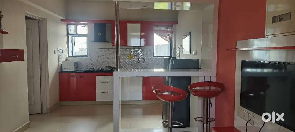 1BHK in Infopark