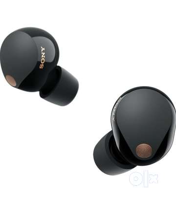 Expensive earpods 2025