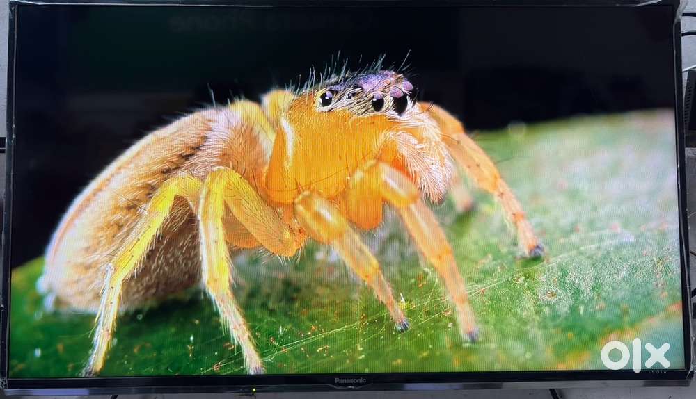 Panasonic smart 40 inch tv