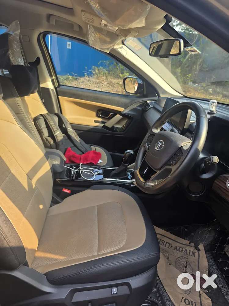 Showroom Condition Safari Limited Edition Top Model