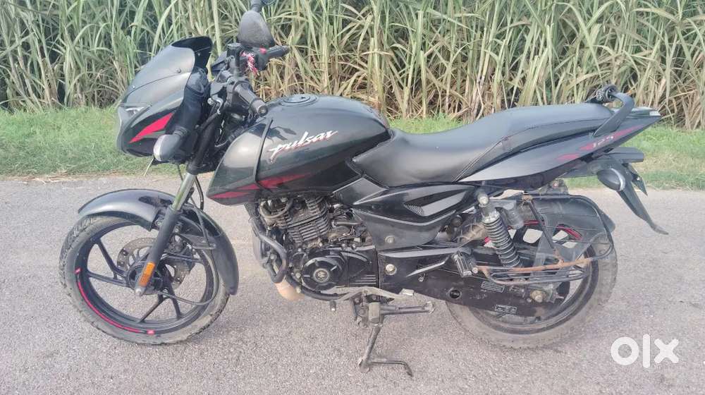 Bajaj Pulsar 125 2023 Model