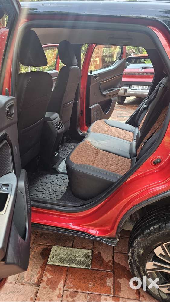 One Year Old Kiger For Sale