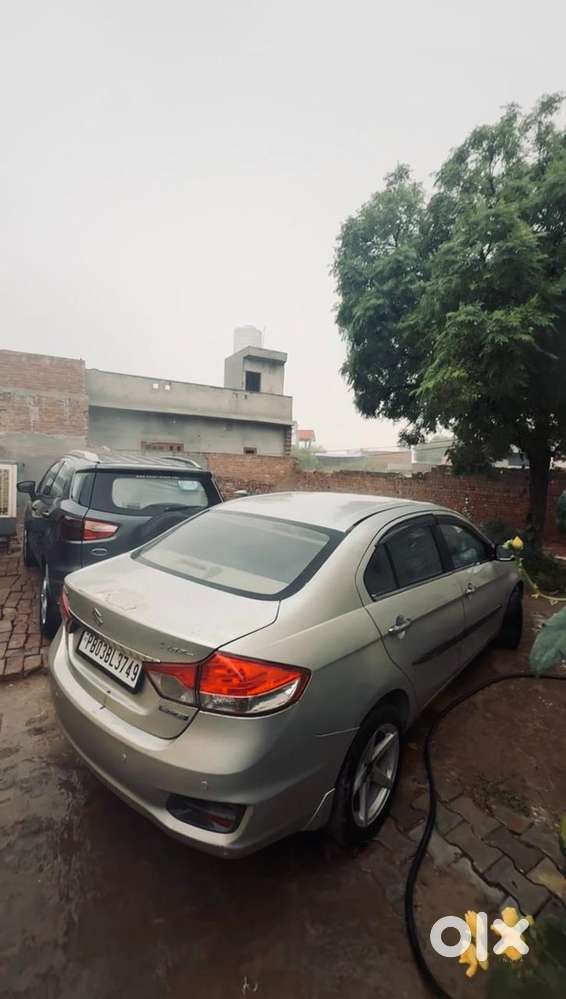 Ciaz Diesel Maruti 2017