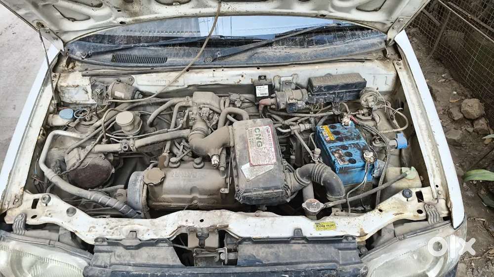 Maruti Suzuki Alto 2008 Cng & Hybrids 99000 Km Driven