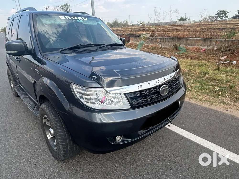 Safari Strom Passionate's