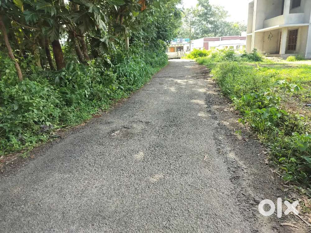 98 Cents in Chemboor With 300 meter Road frontage.