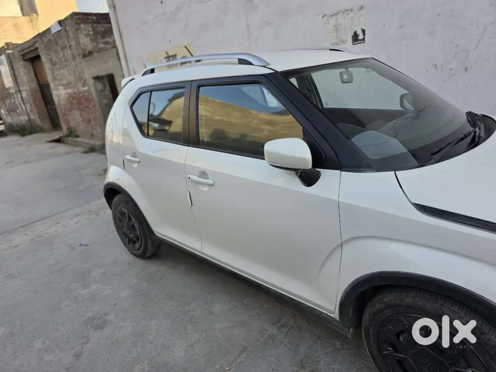 December 2024cng On Paper Delta Variant Convert To Alpha