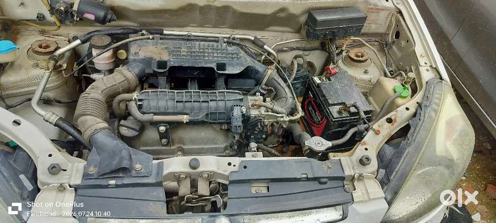 Maruti Suzuki Alto 2013 Petrol