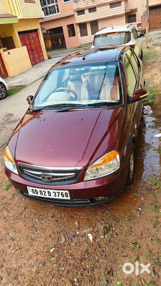 Indigo Ecs Colour Marun