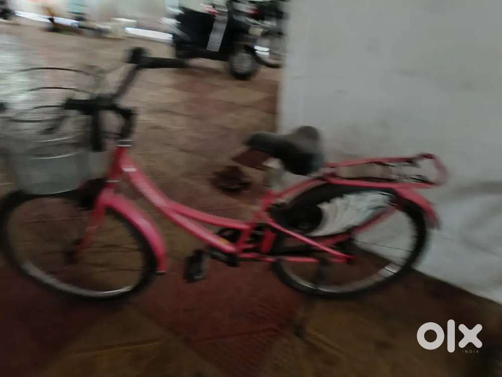 lady bird cycle olx