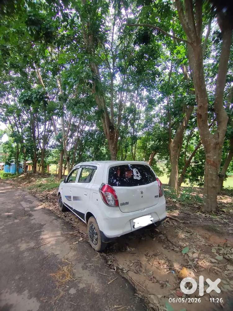 Alto 800 Petrol