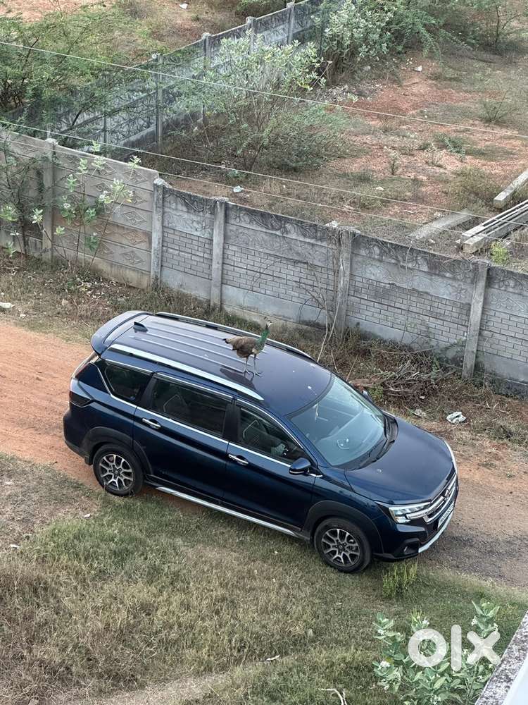 Maruti Suzuki Xl6 2025 Petrol 25500 Km Driven