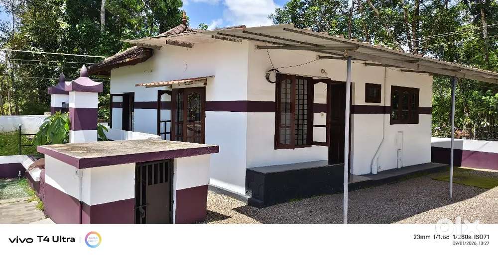 House Shop Land for Rent & Sale pls Contact Us