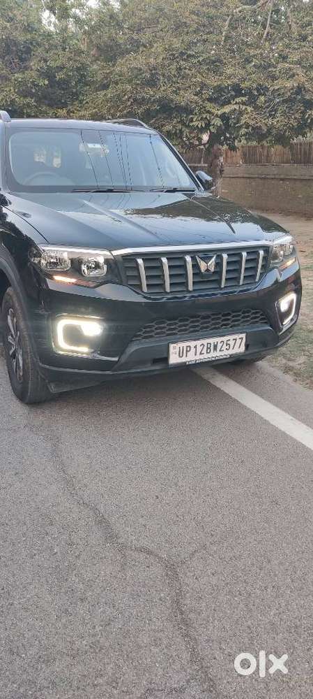 Mahindra Scorpio N Z4 Petrol Mt 7 Str, 2024, Petrol