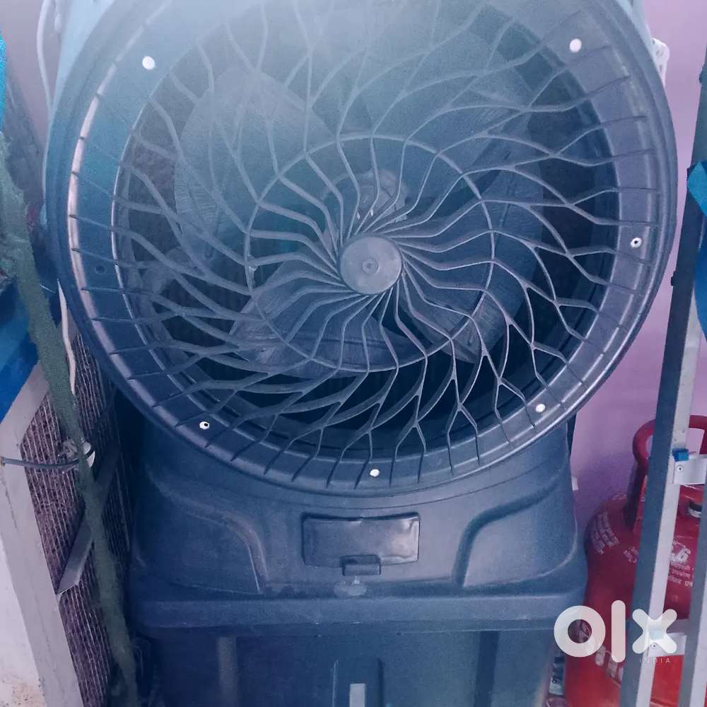Cooler desart