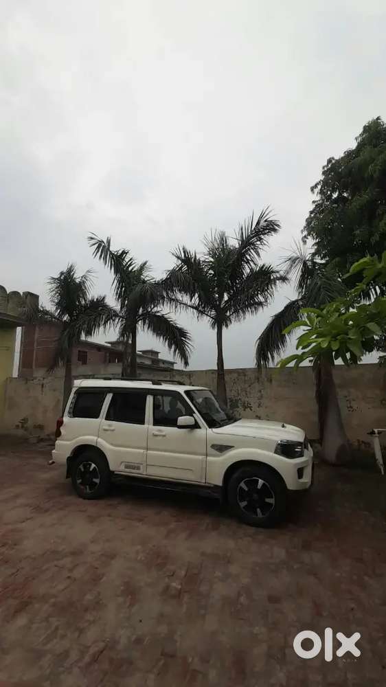 Mahindra Scorpio Diesel Manual 2018