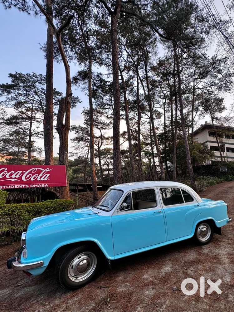 Ambassador Ambassador