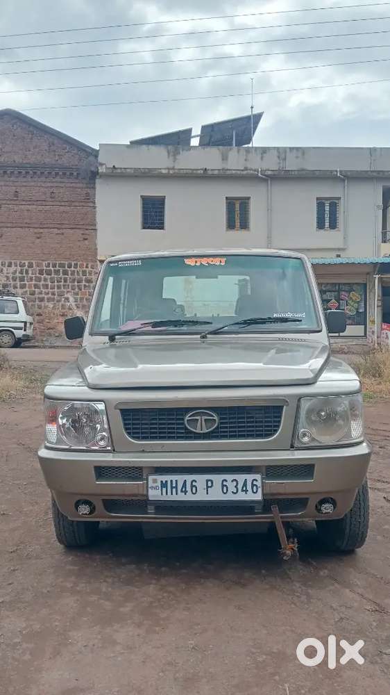 Sumo Gold Di
