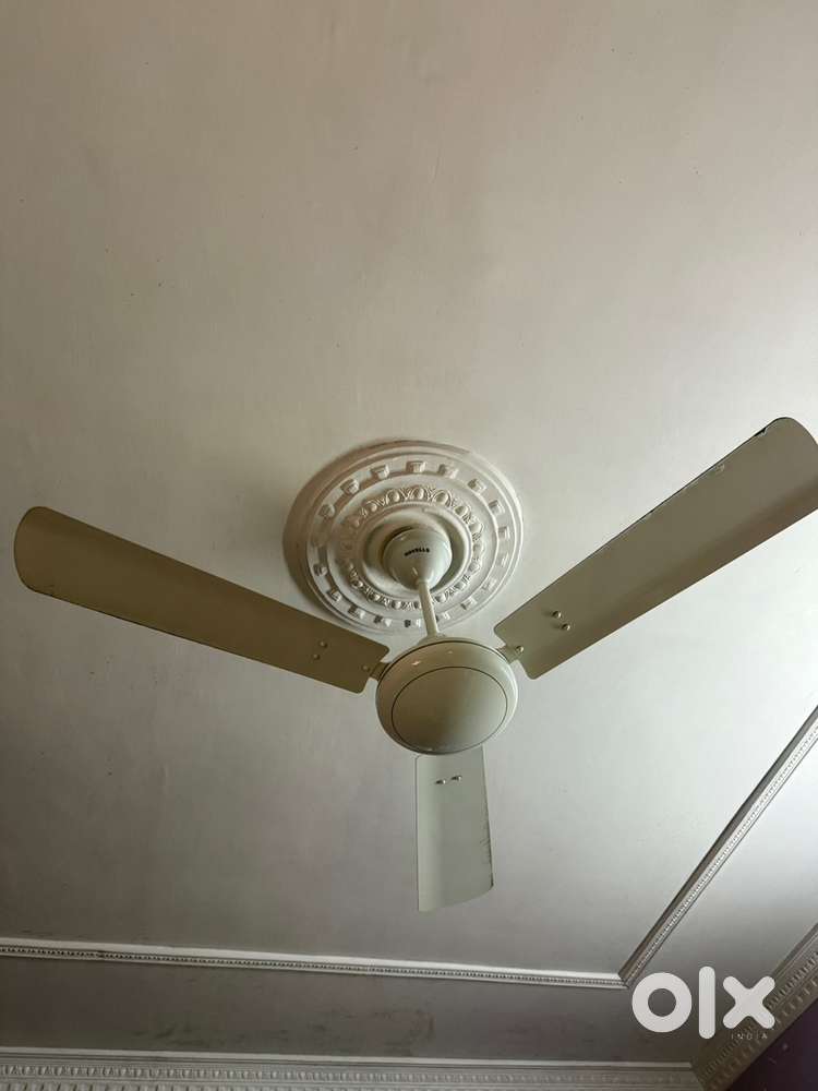 Havells Ceiling Fan