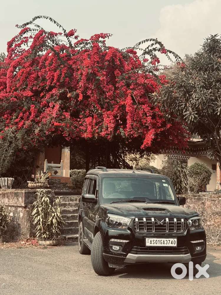 Mahindra Scorpio Classic S11 2024 October Diesel Variant 7 Str