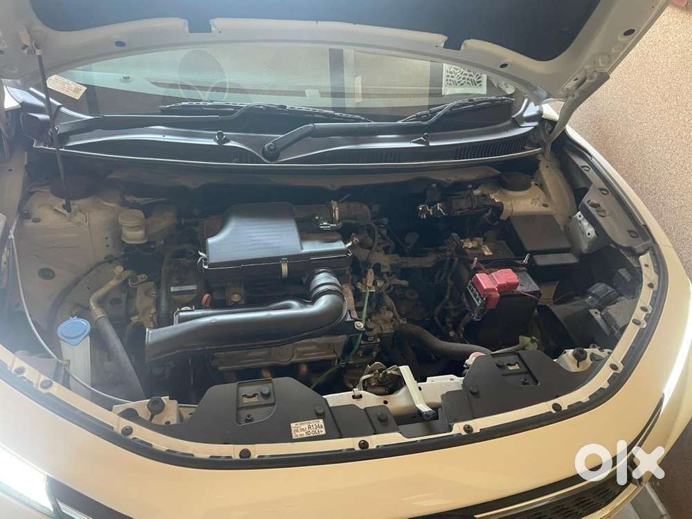 Toyota Urban Cruiser Taisor 2024 Petrol Well Maintained