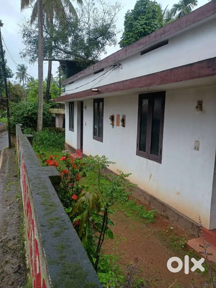 1BHK in Vazhakkala