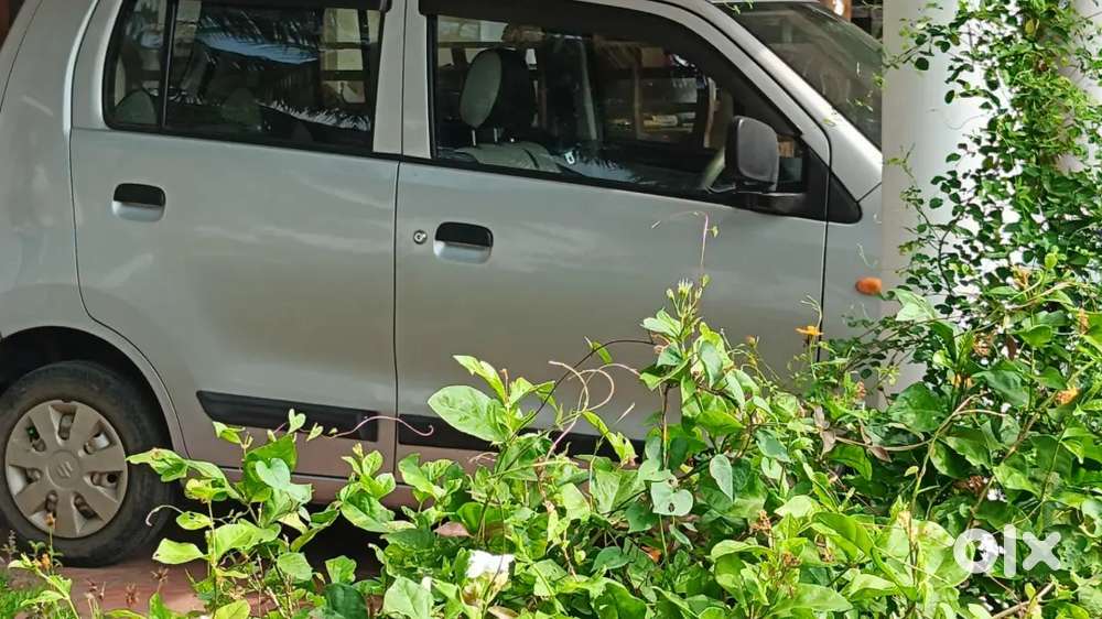 Maruti Suzuki Wagon R 2013