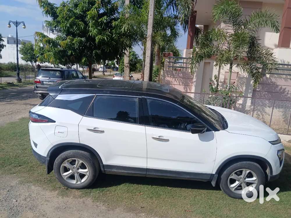 Tata Harrier 2023 Diesel 79500 Km Driven