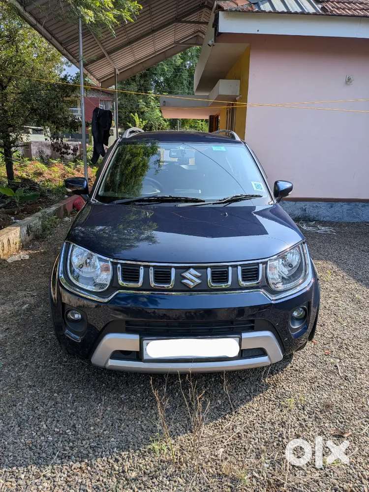 Maruti Suzuki Ignis 2024 Petrol 11800 Km Driven