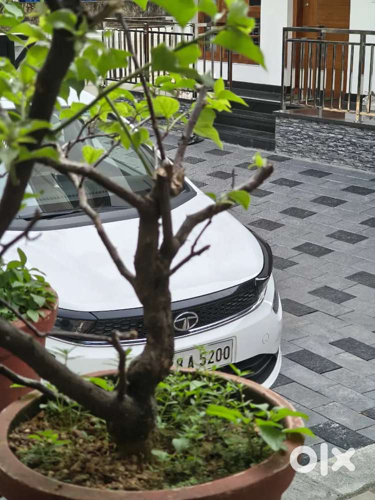 Tata Altroz 2020 Diesel Well Maintained