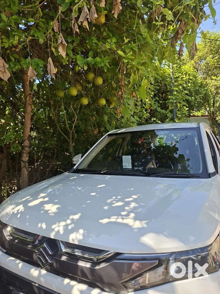 Maruti Suzuki Brezza Lxi 2023