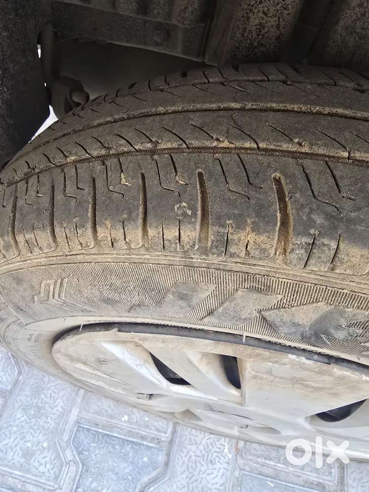 Urgent Sale Koi Kami Nhi H