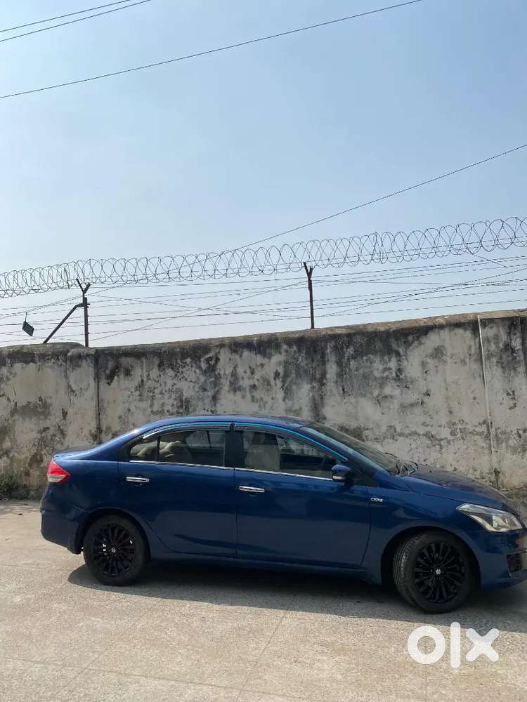 Maruti Suzuki Ciaz 2017 Diesel Well Maintained