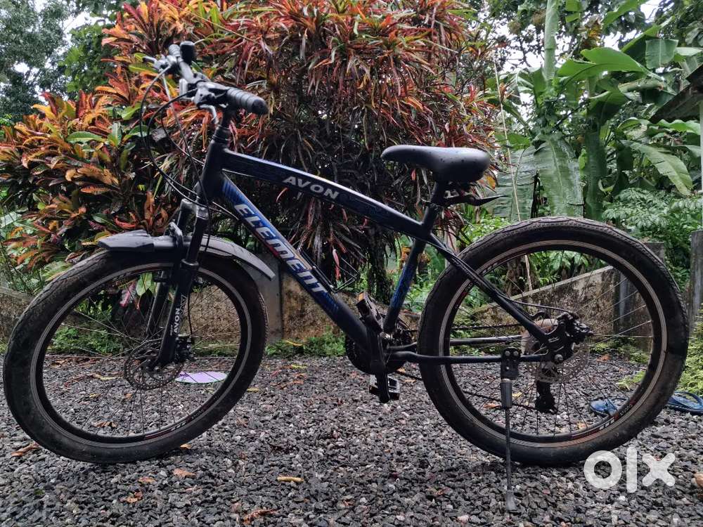 29 Inch Avon Element Bicycle Double Disc Brake Avon Element 29