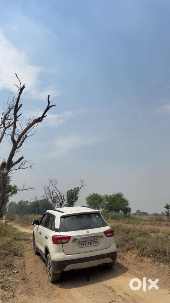 Maruti Suzuki Diesel 2019