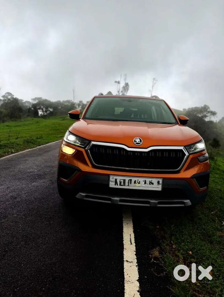 Skoda Kushaq 2021 Petrol 30060 Km Driven