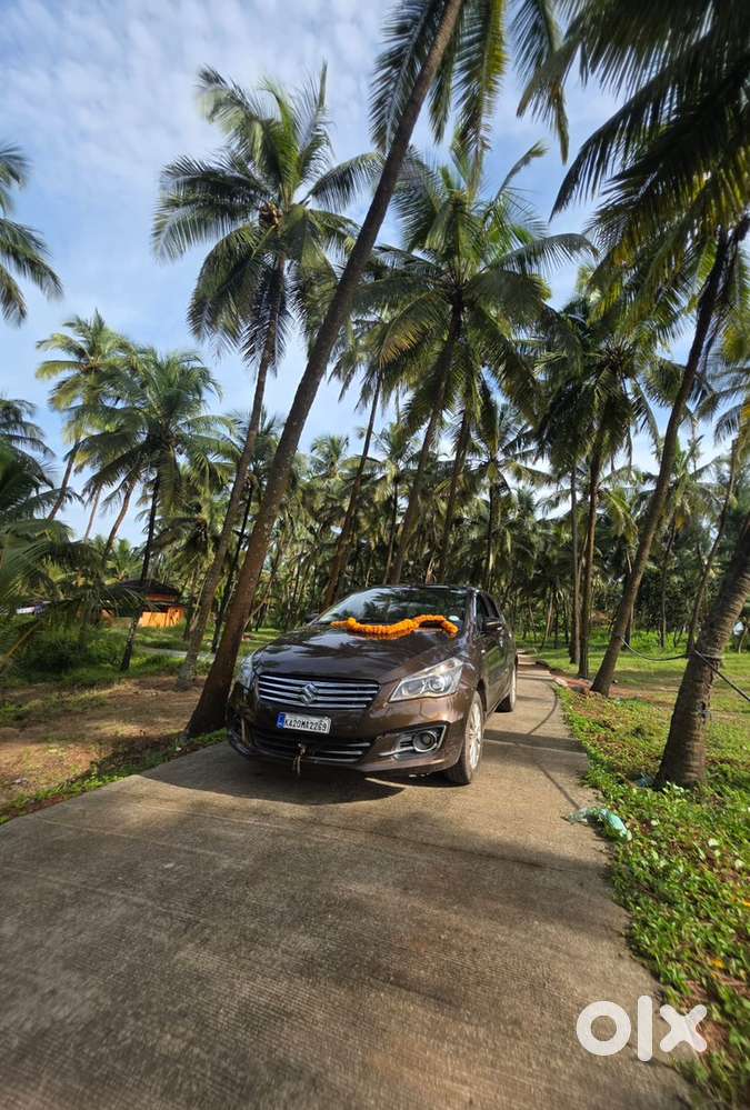 2015 Maruti Suzuki Ciaz Zdi(o) Diesel Manual