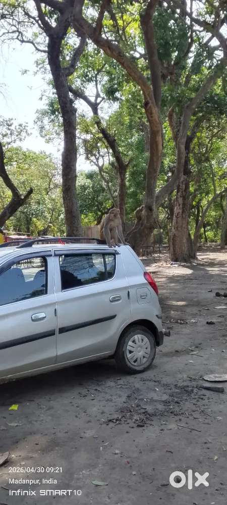 Maruti Suzuki Alto 800 2019 Petrol 70000 Km Driven
