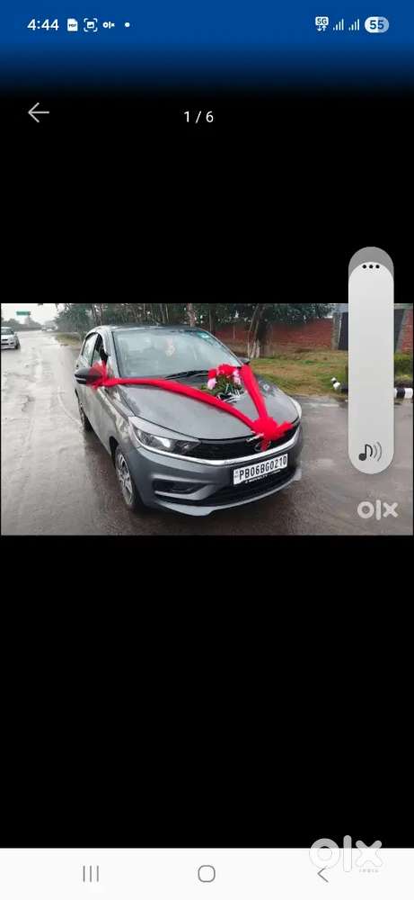 Only  Showroom